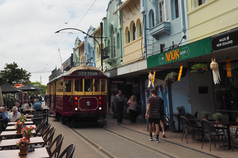 Christchurch: Private Highlights Tour with local guide