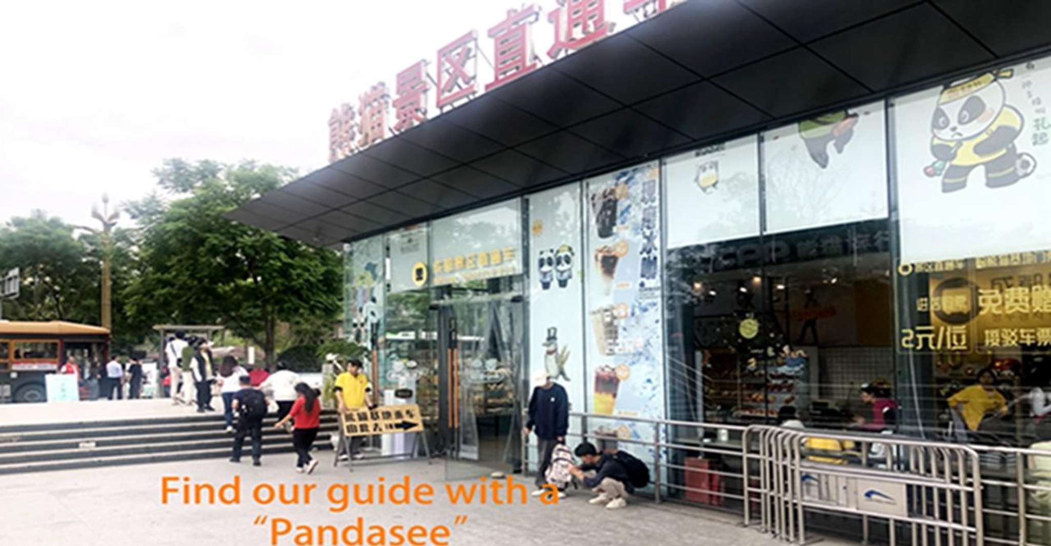 Excursão de meio dia à base de panda de Chengdu - Hizvo