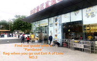 Excursión de medio día a la base de panda de Chengdu - Hizvo