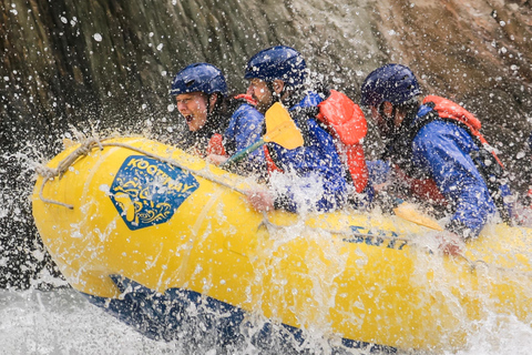 Golden, BC: Kicking Horse River Whitewater Rafting Adventure