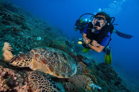 Mombasa: Scuba Diving Experience with Hotel Transfer