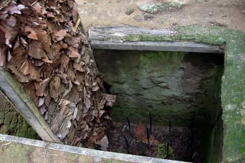 Cu Chi Tunnels: Morning or Afternoon Guided Tour