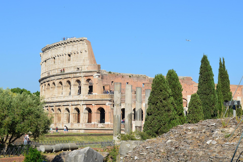 Rome: Colosseum Guided Tour with Roman Forum Entry