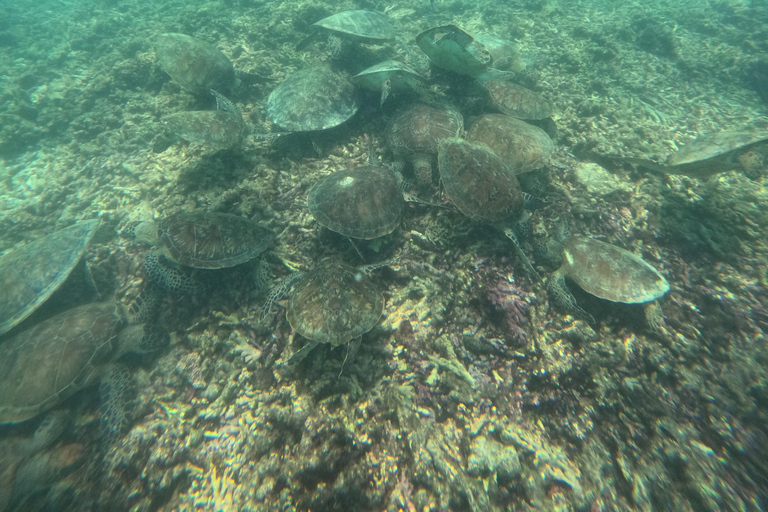 Dimaniyat Islands Snorkeling Tour afternoon private boat trip