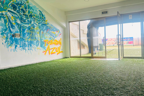 Praia: Behind-the-Scenes Stadium Tour with Lunch