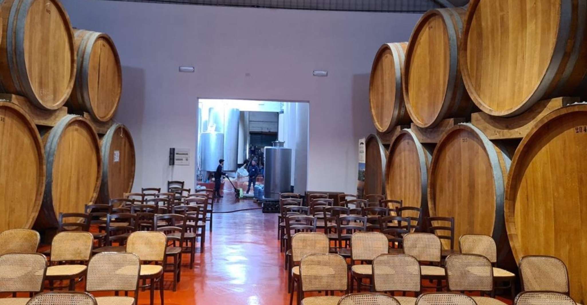 Marsala, Weingut-Tour mit Weinprobe und lokalen Produkten - Hizvo