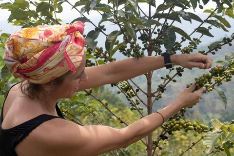 Kigali: 2-Day Kinunu Coffee Tour & Lake Kivu Exploration