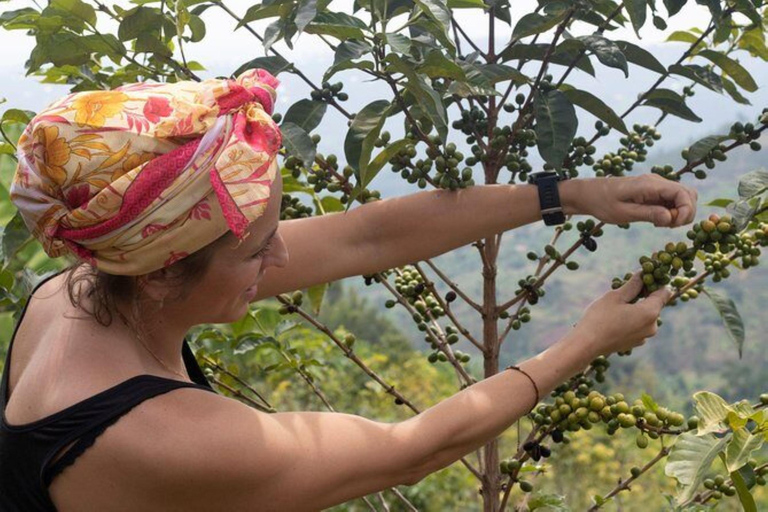Kigali: 2-Day Kinunu Coffee Tour & Lake Kivu Exploration
