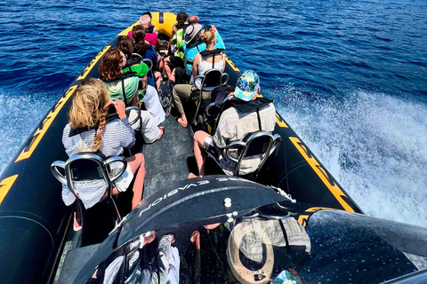 Balade en mer de Nice vers Monaco et stop à Villefranche