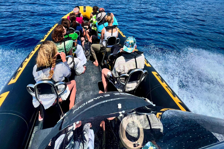 Balade en mer de Nice vers Monaco et stop à Villefranche