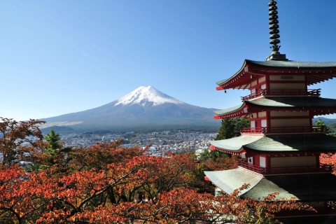 Excursión privada de día completo al Monte Fuji y Hakone