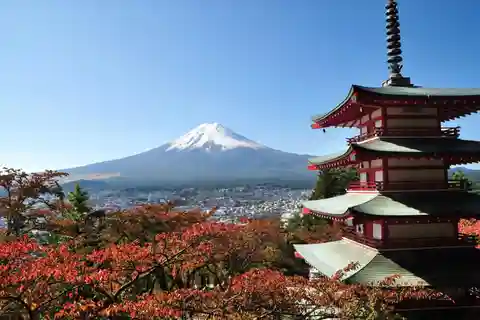 Sightseeing Day Trip to Mount Fuji and Hakone Green Number