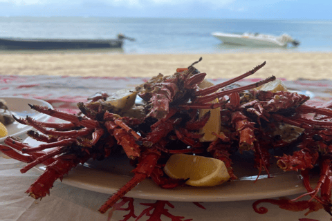 Bateau privé à l&#039;Île aux Bénitiers : Plongée en apnée avec les dauphins et homardBateau privé Île aux Bénitiers : Nage avec les dauphins et homard