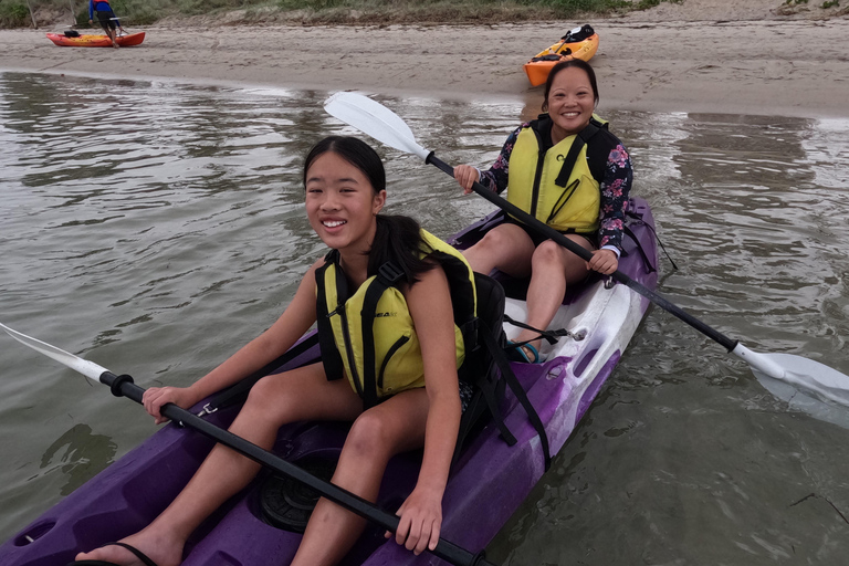Gold Coast: Surfers Paradise Kayak Tour — Day or Sunset Sunset: Surfers Paradise Kayak & Wildlife Tour
