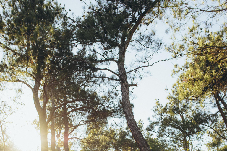 جلسة تصوير احترافية في تبليسي — صور شخصية، للأزواج والعائلاتالتقاط صور قصة الحب