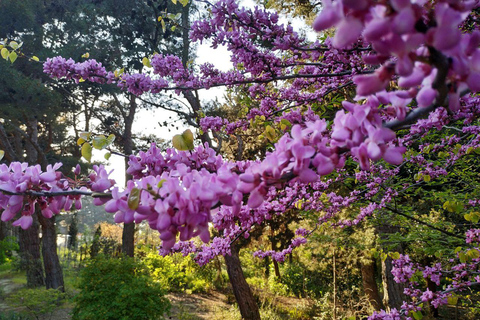 Baku: Fauna and Flora Tour