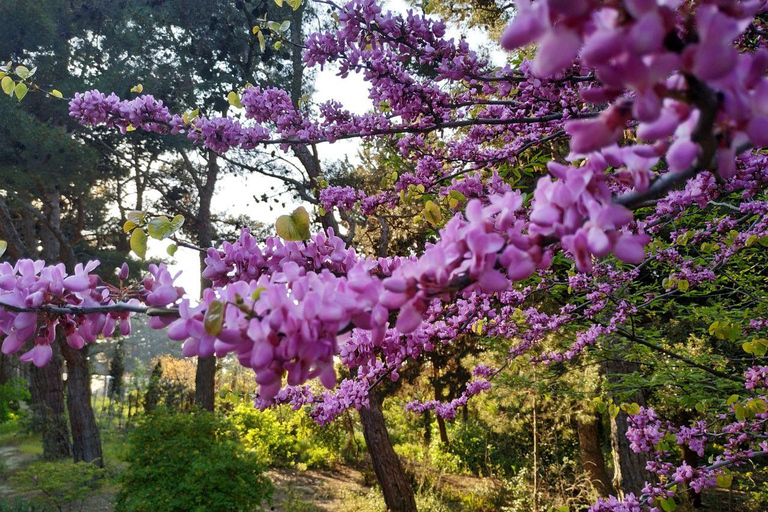 Baku: Fauna and Flora Tour