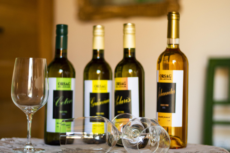 Marija Bistrica: E-bikes to the Wineries of Zlatar City