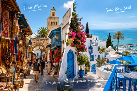 Tunis: Medina, Carthage, and Sidi Bou Said Guided Day Tour