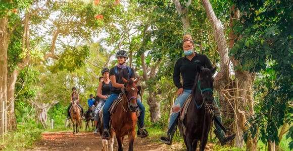 Carabalí Rainforest Park: Rainforest Horseback Riding Tour
