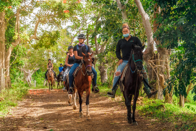 Carabalí Rainforest Park: Rainforest Horseback Riding Tour 2-Hour Horseback Ride