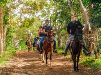 Carabalí Rainforest Park: jazda konna po lesie deszczowym