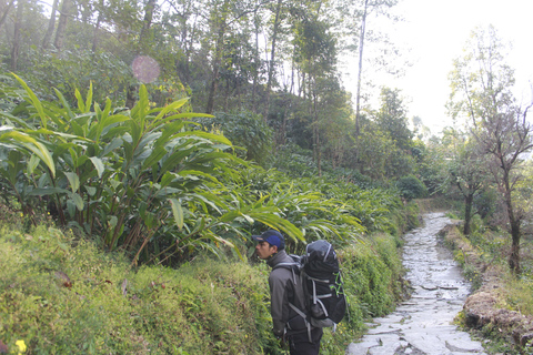 De Katmandu: Caminhada de 5 dias em Poon Hill e Ghandruk