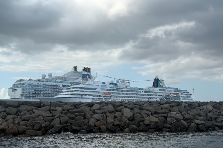 Private Tour of Panama City: Biomuseo, MAC & Casco Antiguo