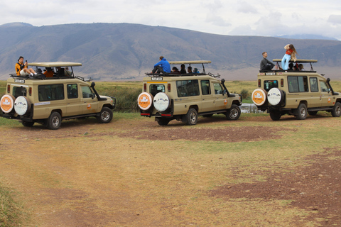 Tansania: 2 Tage Safari Tarangire & Ngorongoro Krater