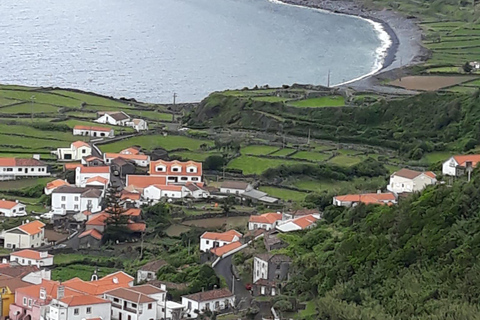 Flower Island: Van Tour