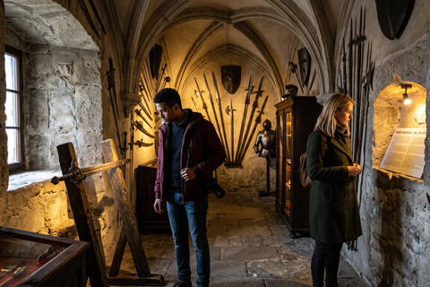 From Bucharest: Peles, Dracula & "Wednesday" Castles Tour COACH TOUR Audio guide in 24 languages