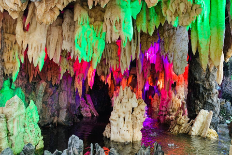 Guangzhou: Market, Ancient Town & Baomao Garden Private Tour Guide for English