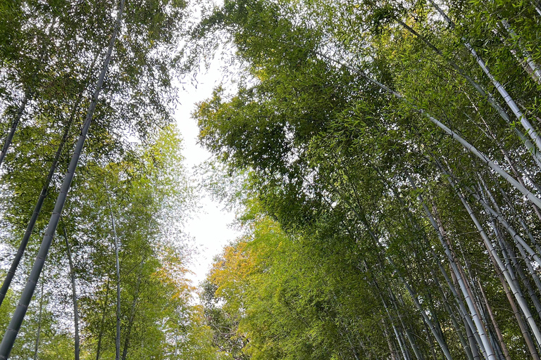 Au départ d'Osaka/Kyoto : visite privée de Kyoto-Nara (journée)Au départ d'Osaka/Kyoto : excursion privée d'une journée à Kyoto~Nara