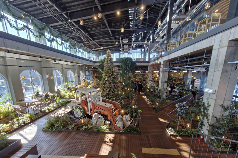 Tour guidato sulla storia e la cultura dell&#039;incidente del 4.3 di Jeju (SW)Tour guidato sulla storia e la cultura dell&#039;incidente del 4 marzo a Jeju (SW)