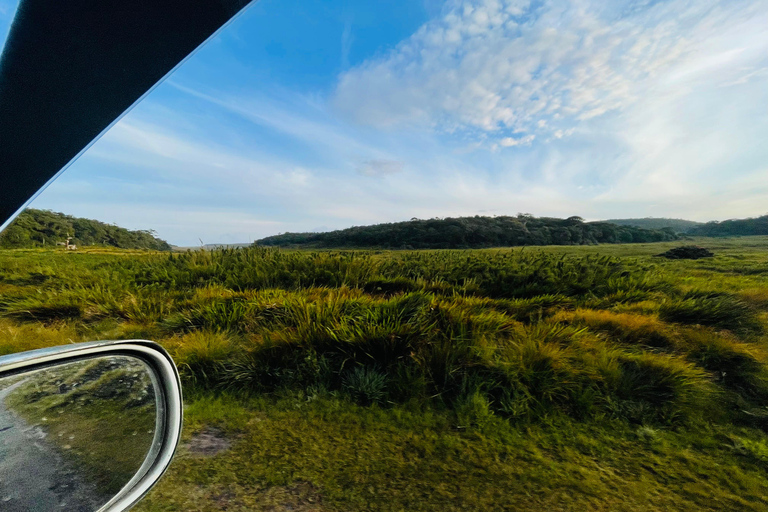 Ella: Horton Plains & Bomburu Ella Waterfall Tour