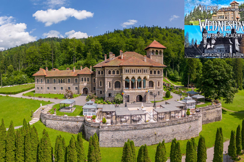 1-Day Minivan Tour 3 Castles: Peles, Wednesday & Dracula’s