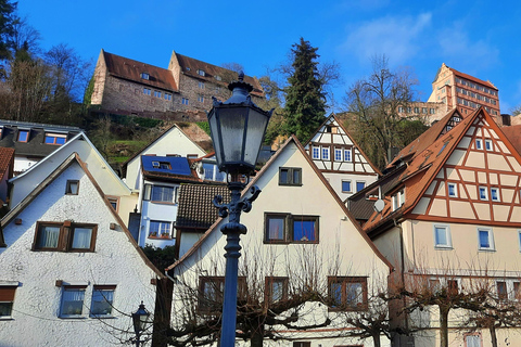 Heidelberg: Neckar River, Cave, Odenwald – Active Highlights Discovery Tour