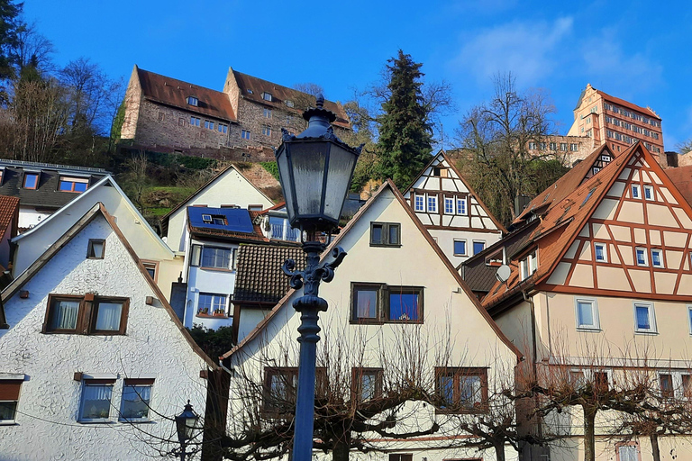 Heidelberg: Neckar River, Cave, Odenwald – Active Highlights Discovery Tour