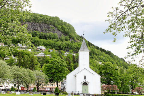 Oslo: Train and Bus Tour to Bergen via Hardangervidda/Fjord