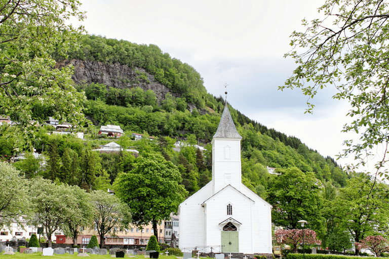 Tåg- och bussresa till Oslo: Tåg- och busstur till Bergen via Hardangervidda/Fjorden