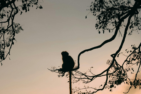 Kerala 3 N 4 D Tour – Munnar & Alleppey Houseboat Package