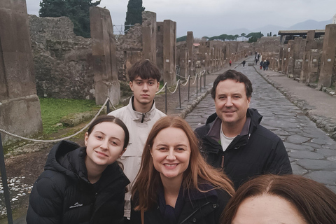 Transfer from Sorrento & Guided Pompeii to Naples area