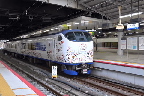 Billete de ida Kansai-Airport Express HARUKAHARUKA TICKETS Aeropuerto de Kansai → Osaka・Shin-Osaka Sólo ida