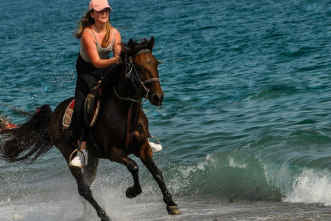 Horseback riding through dunes and pine forests to the beach in Side Horseback riding through dunes and pine forests to Side Beach