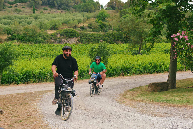 Carcassonne: Solex ride with guide and French-style brunch Carcassonne: Solex tour with guide and French brunch