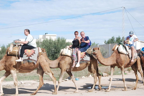 Hammamet: Combo Horse and Camel Ride in Nature Hammamamet: Combo Horse and Camel Ride in Nature