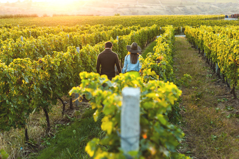 Private Experience | Zakynthos Winetasting Tour | 2 hours