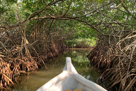 CARTAGENA: Vulkaan del totumo, Galerazamba en Manglar de la Boquilla Route