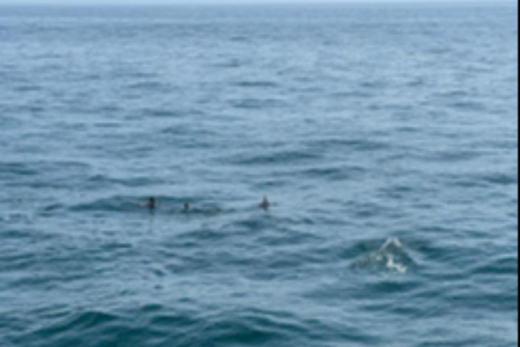 Muscat: Semi-Submarine Cruise with Snorkeling & Snacks