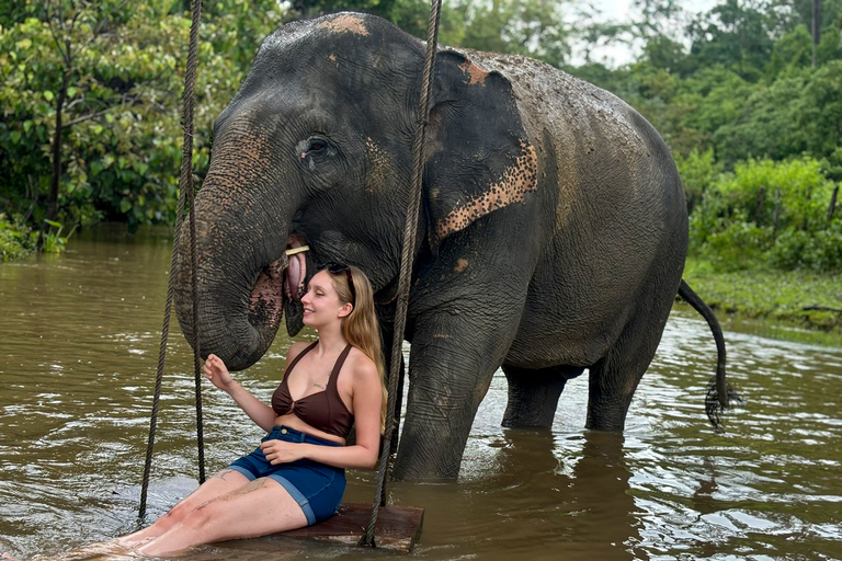 Chiang Mai 2-Day: Good Morning Elephant & Overnight Homestay